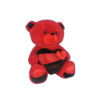 teddy-bear-for-valentine-day-171086_82632769-b774-4cad-970b-e306d36546ac