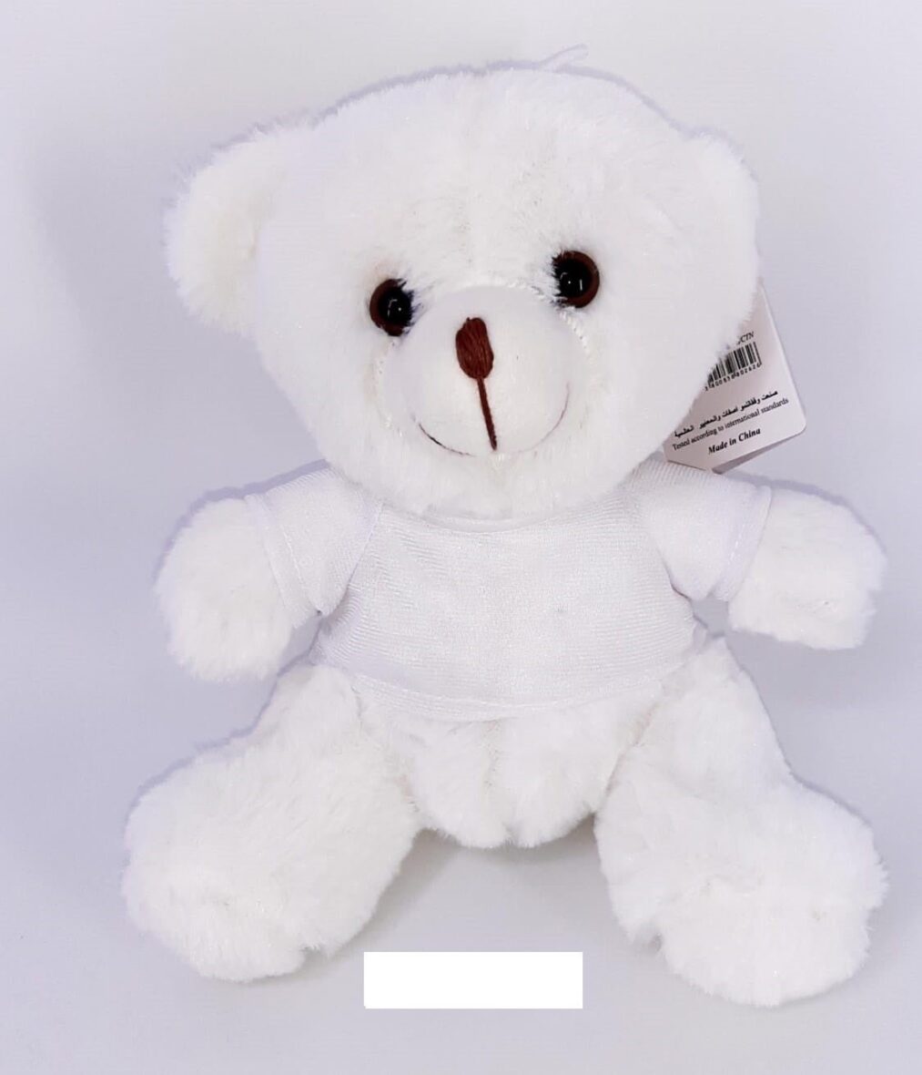 teddy-bear-in-shirt-220489